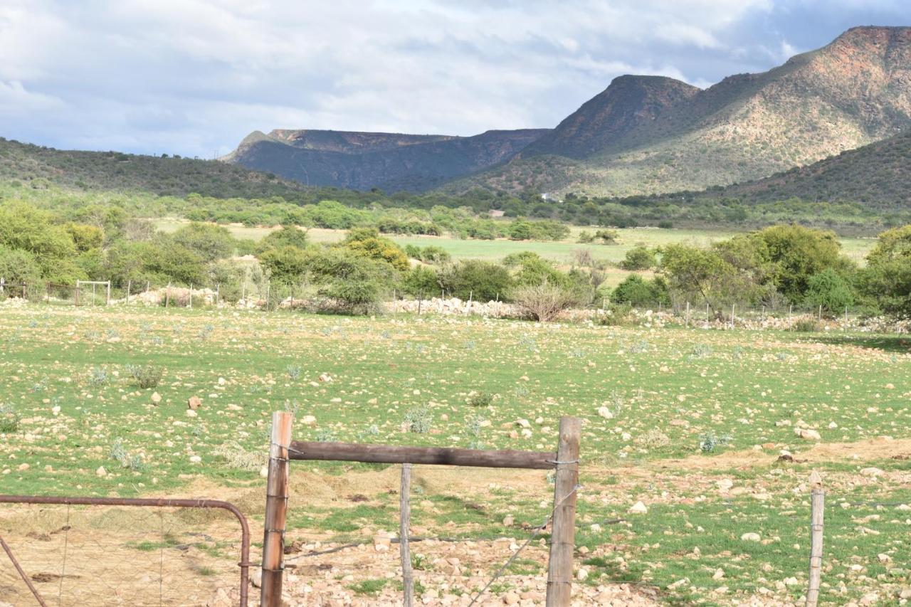 Baviaanskloof Guest Cottages Studtis المظهر الخارجي الصورة